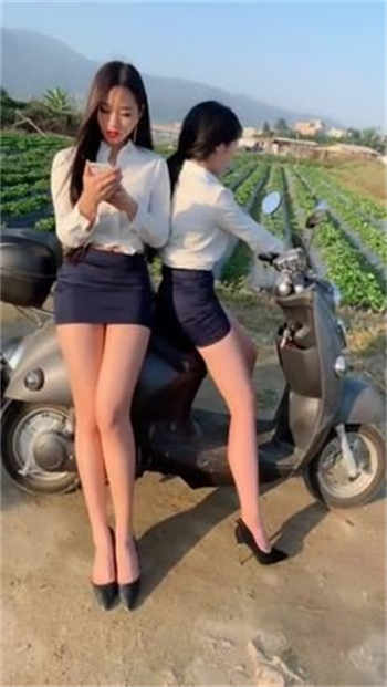 给爱狗人士的忠告