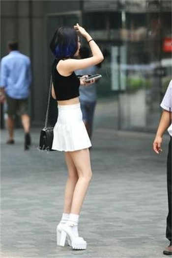 小菊花下载安装