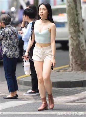 混乱网仙踪林